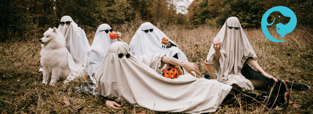 A group of people dressed like ghosts in a field with a dog.