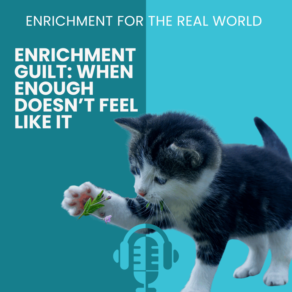 A black and white kitten batting at something. Text reads: Enrichment Guilt: When Enough Doesn't Feel Like It