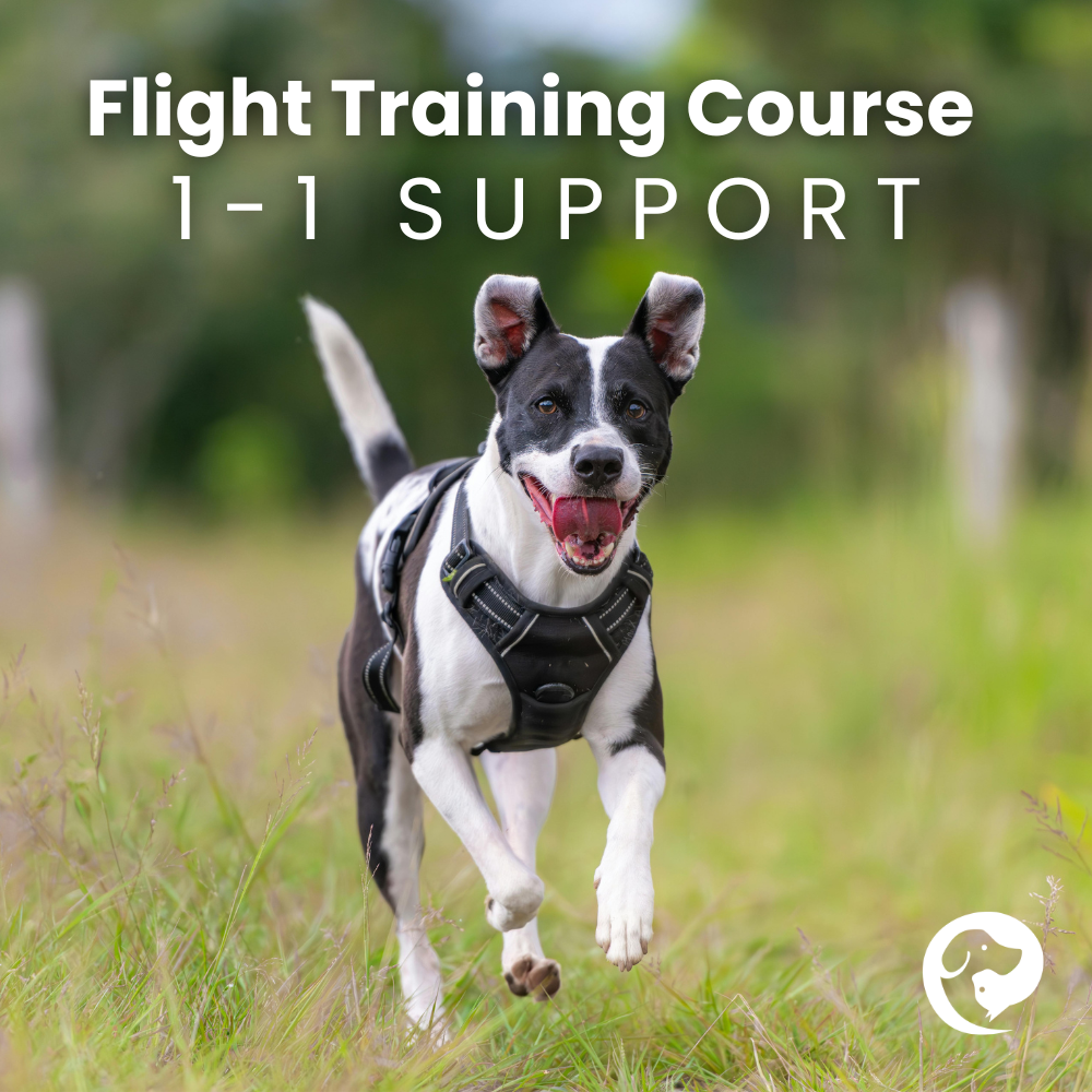 Flight Training Course 1:1 Support