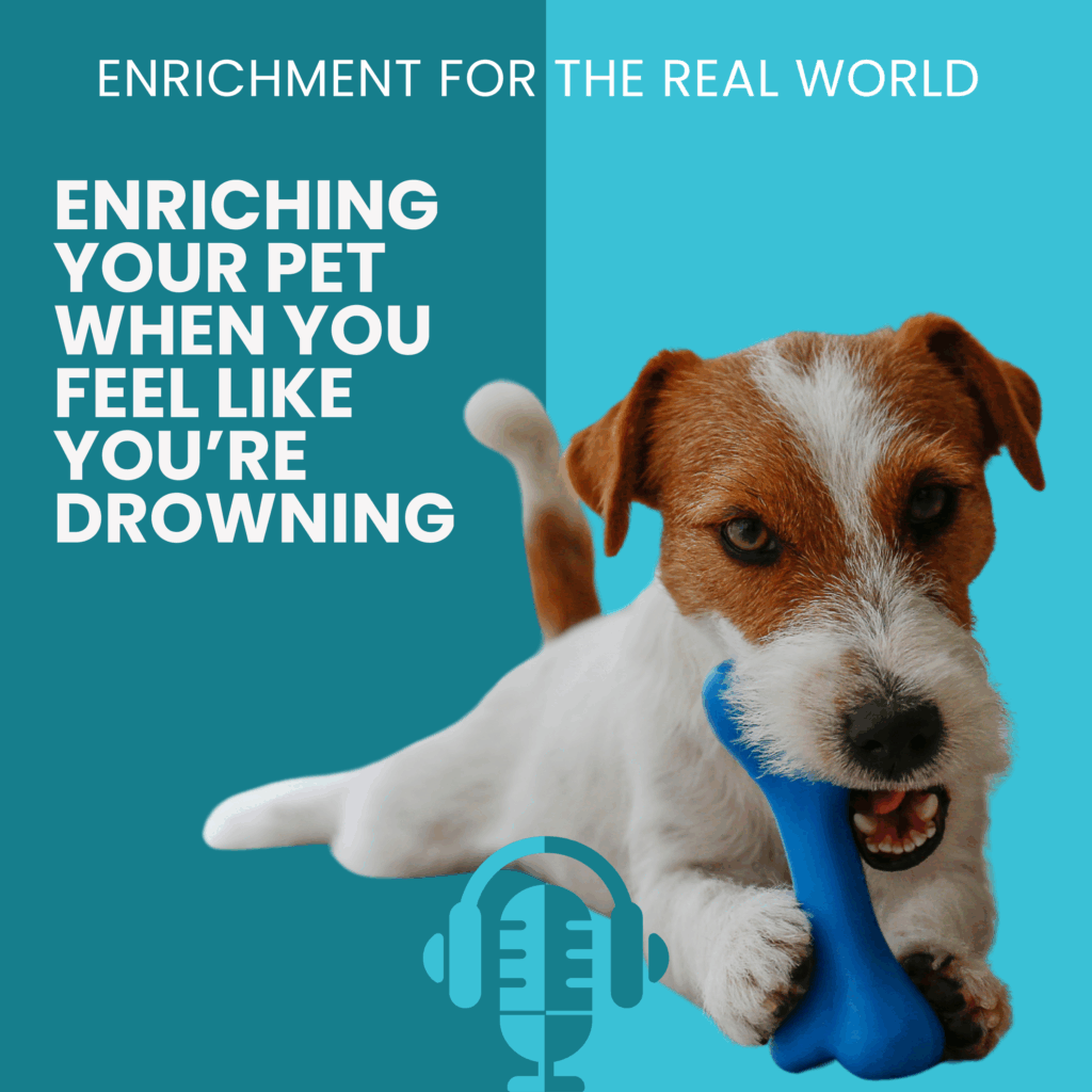 A small white and brown scruffy dog chewing on a toy. Text reads: Enriching your pet when you feel like you're drowning