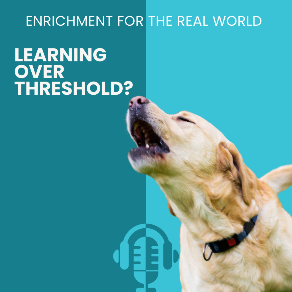 A barking yellow lab. Text reads: Learning Over Threshold?