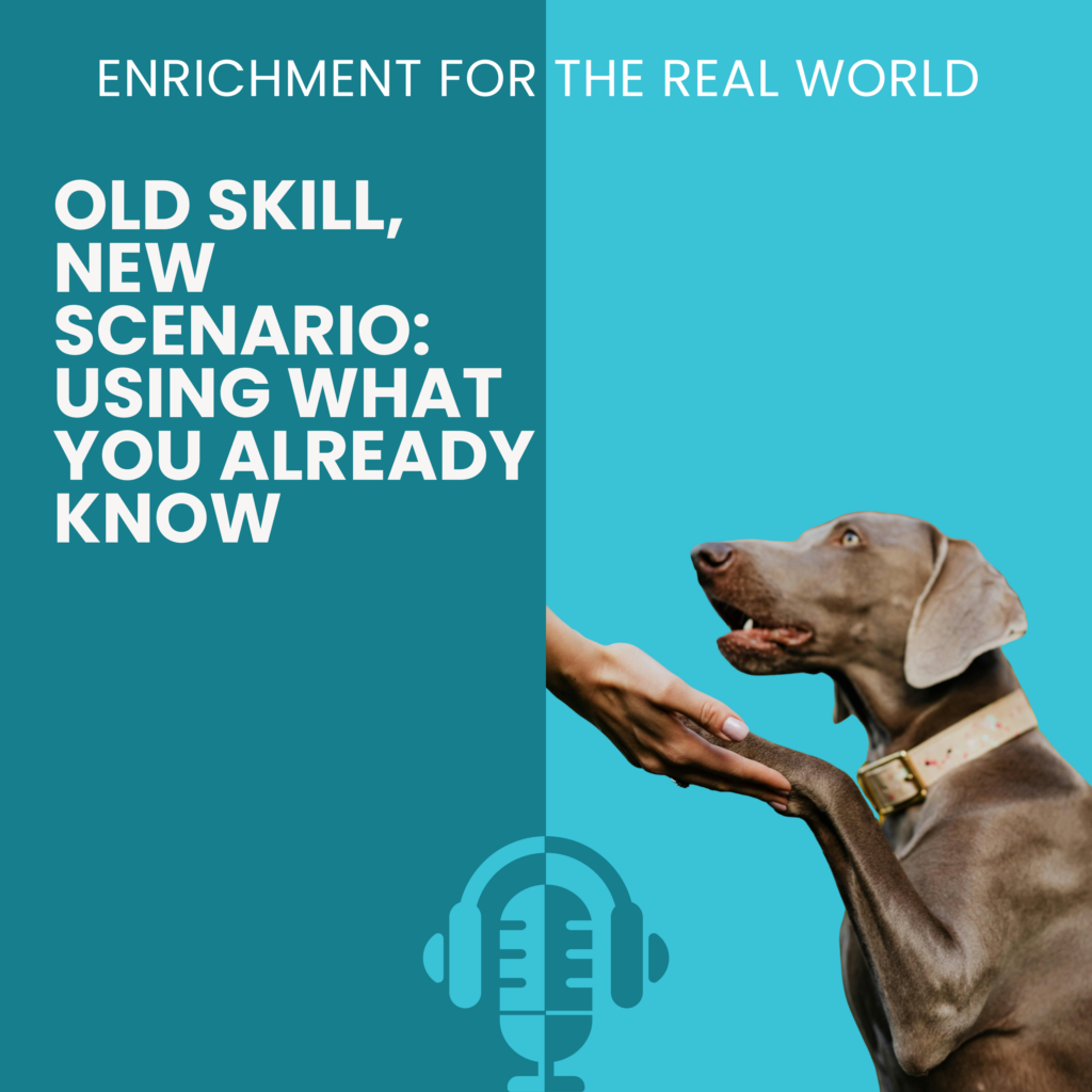 A silver dog with long, floppy ears holding a person's hand. Text reads: Old Skill, New Scenario: Using What You Already Know