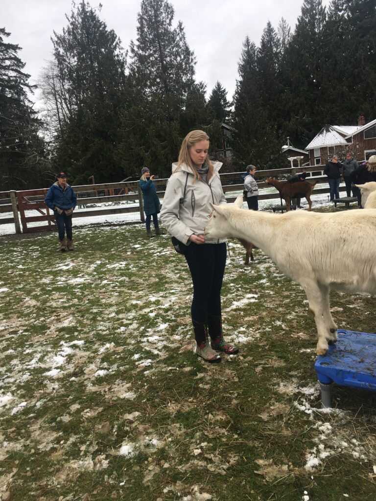 A blond woman in a white coat feeding a white goat.