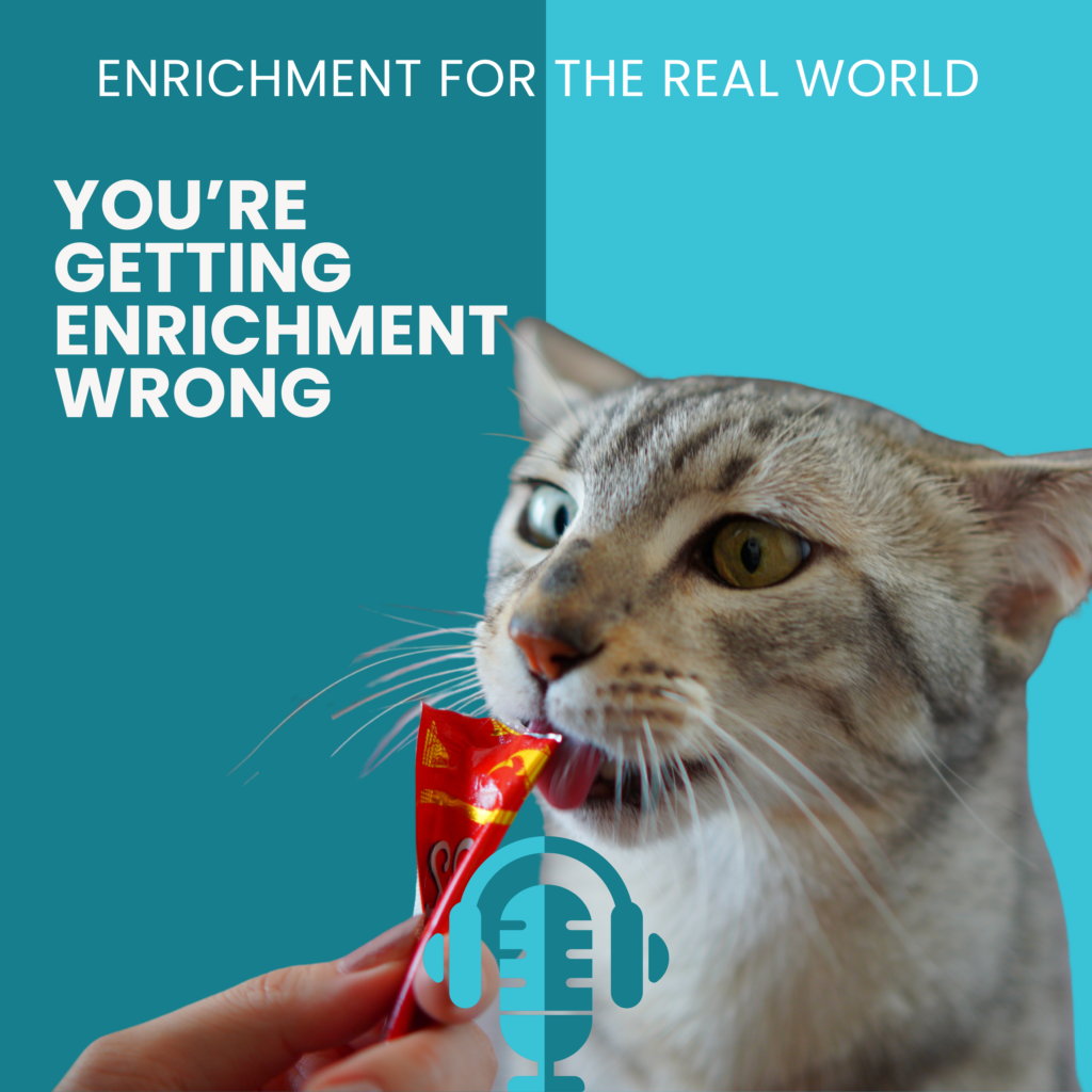 A grey cat licking a liquid treat from a small tube. Text reads: You're Getting Enrichment Wrong