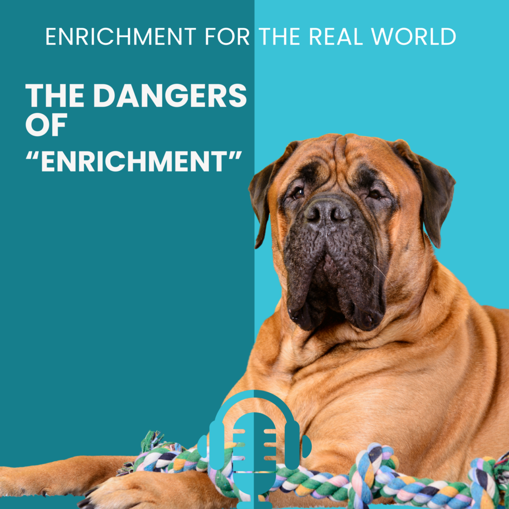 A large brown mastiff type dog lying down with a blue rope toy. Text reads: The Dangers of "Enrichment"