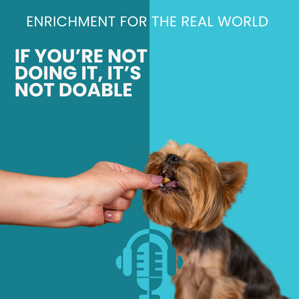 A small brown yorkie-type dog taking a treat from a human hand. Text reads: If you're not doing it, it's not doable.