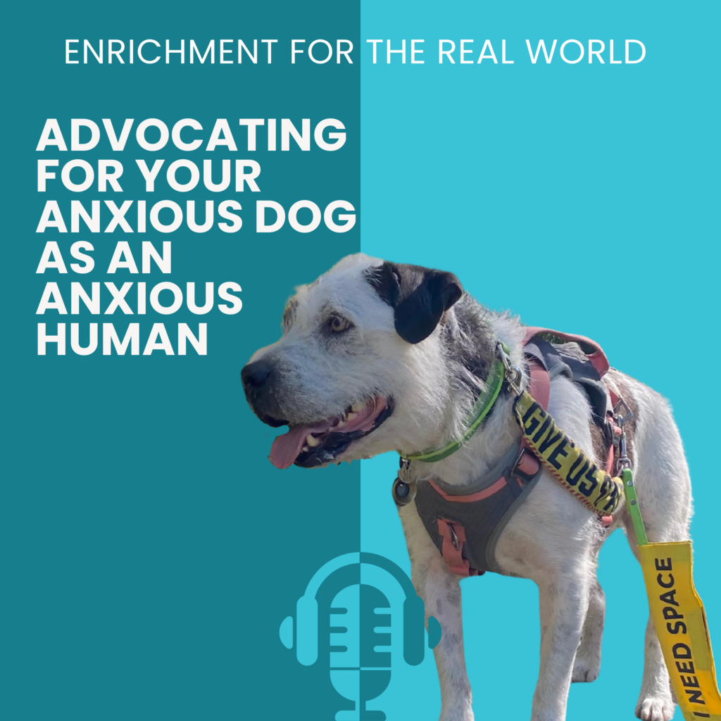 A scruffy white and dark grey dog in a harness and yellow leash flags that say "give us space." Text reads: Advocating for your Anxious Dog as an Anxious Human