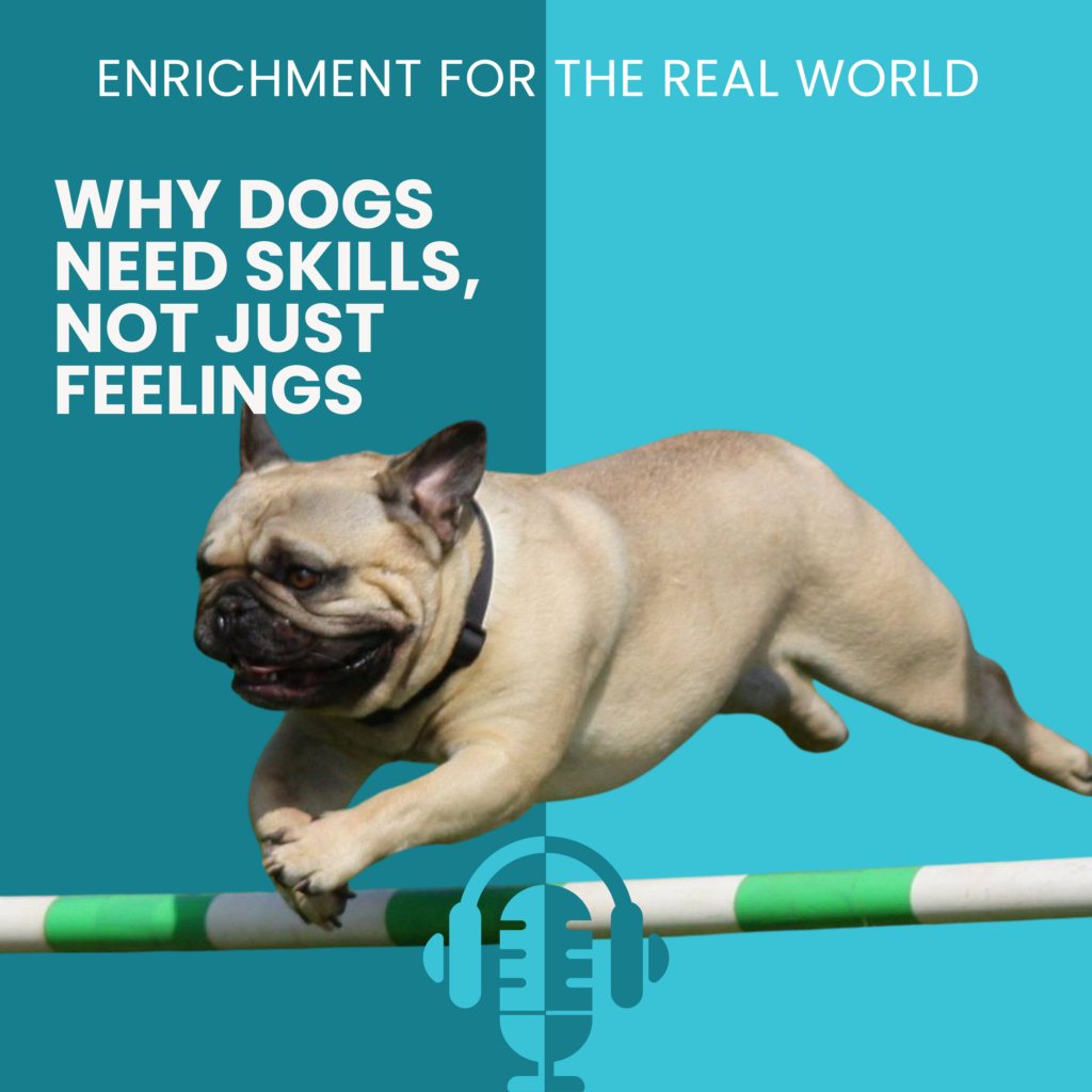 A fawn french bulldog jumping over a pole. Text reads: Why Dogs Need Skills, Not Just Feelings