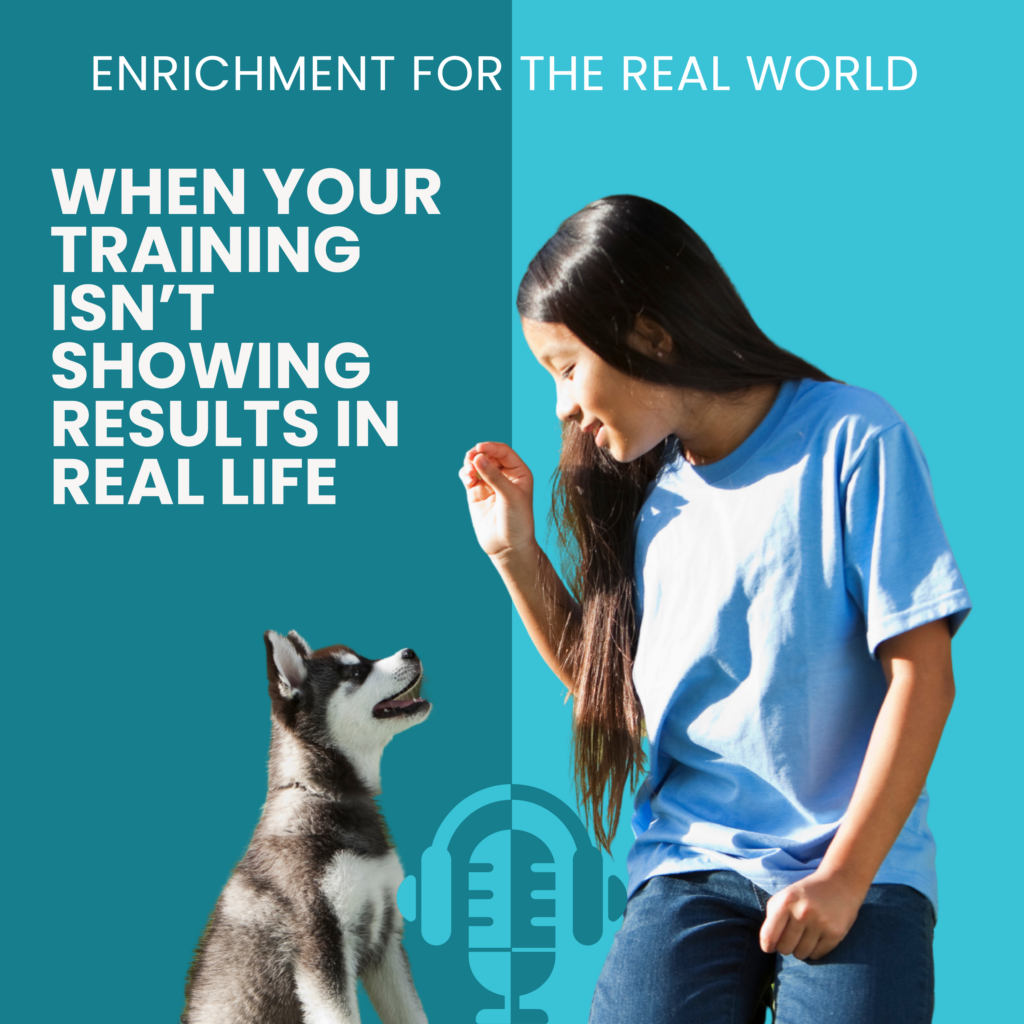 A young woman with long dark hair with a treat in her hand kneeling next to a husky puppy. Text reads: When Your Training Isn't Showing Results in Real Life.