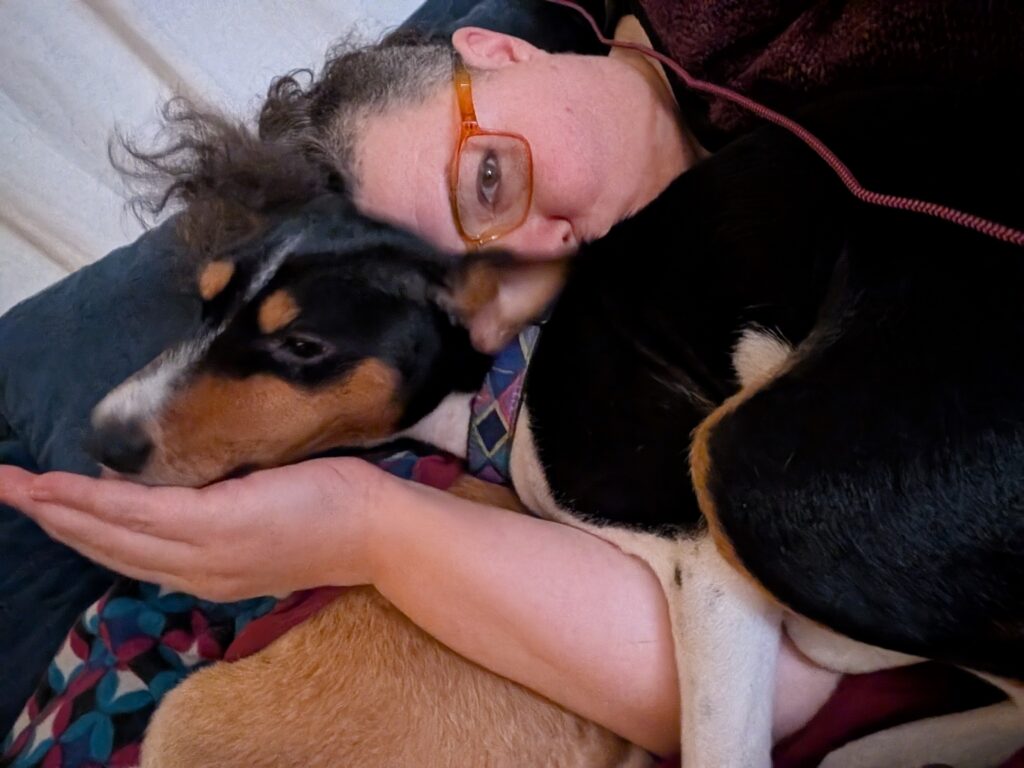 Miley, a tri color basenji dog, left, and Emily, right, having a cuddle together. Emily's head is next to Miley's body, and their hand is holding up Miley's head.