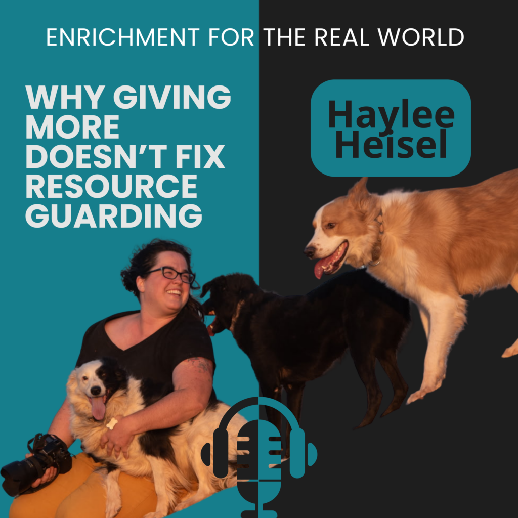 A person with three dogs. Text reads: why giving more doesn't fix resource guarding