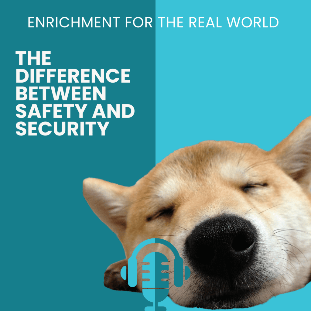 Close up of a dog snoozing. Text reads: The Difference Between Safety and Security