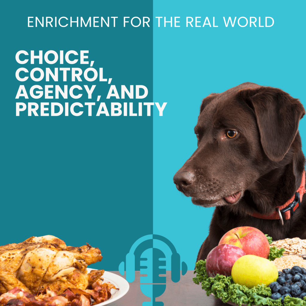 A chocolate lab with a platter full of roast chicken and another full of fruit. They are looking at the chicken intently. Title reads: Choice, Control, Agency, and Predictability