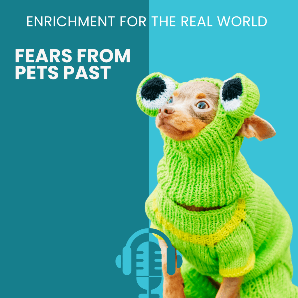 A small brown chihuahua wearing a green knit sweater and hood with big eyes on it. Text reads: Fears from Pets Past