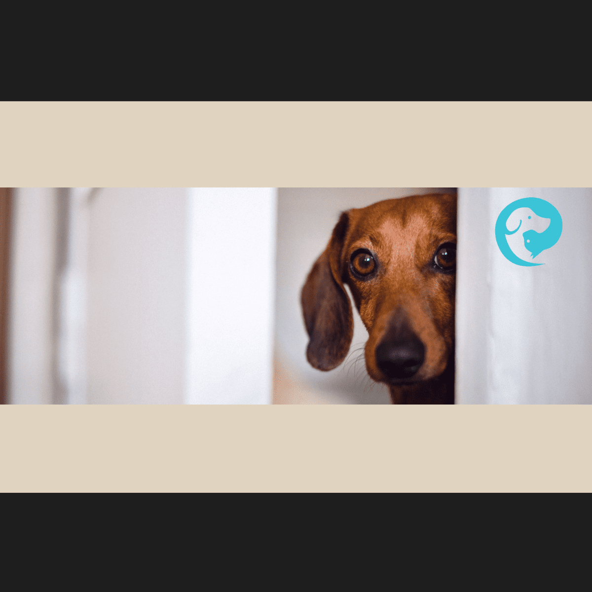 A brown dog peeking out from a doorway