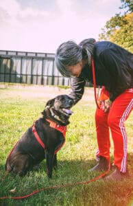 A woman with beautiful salt and pepper hair wearing red track pants bending down to pet a brindle dog. Kiki Yablon, MA, KPA CTP, CPDT-KA, KPA Faculty
