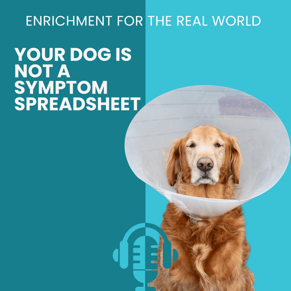 Golden retriever wearing a cone of shame beside the text "Your Dog Is Not a Symptom Spreadsheet" — Enrichment for the Real World podcast episode about dog behavior problems and root cause.
