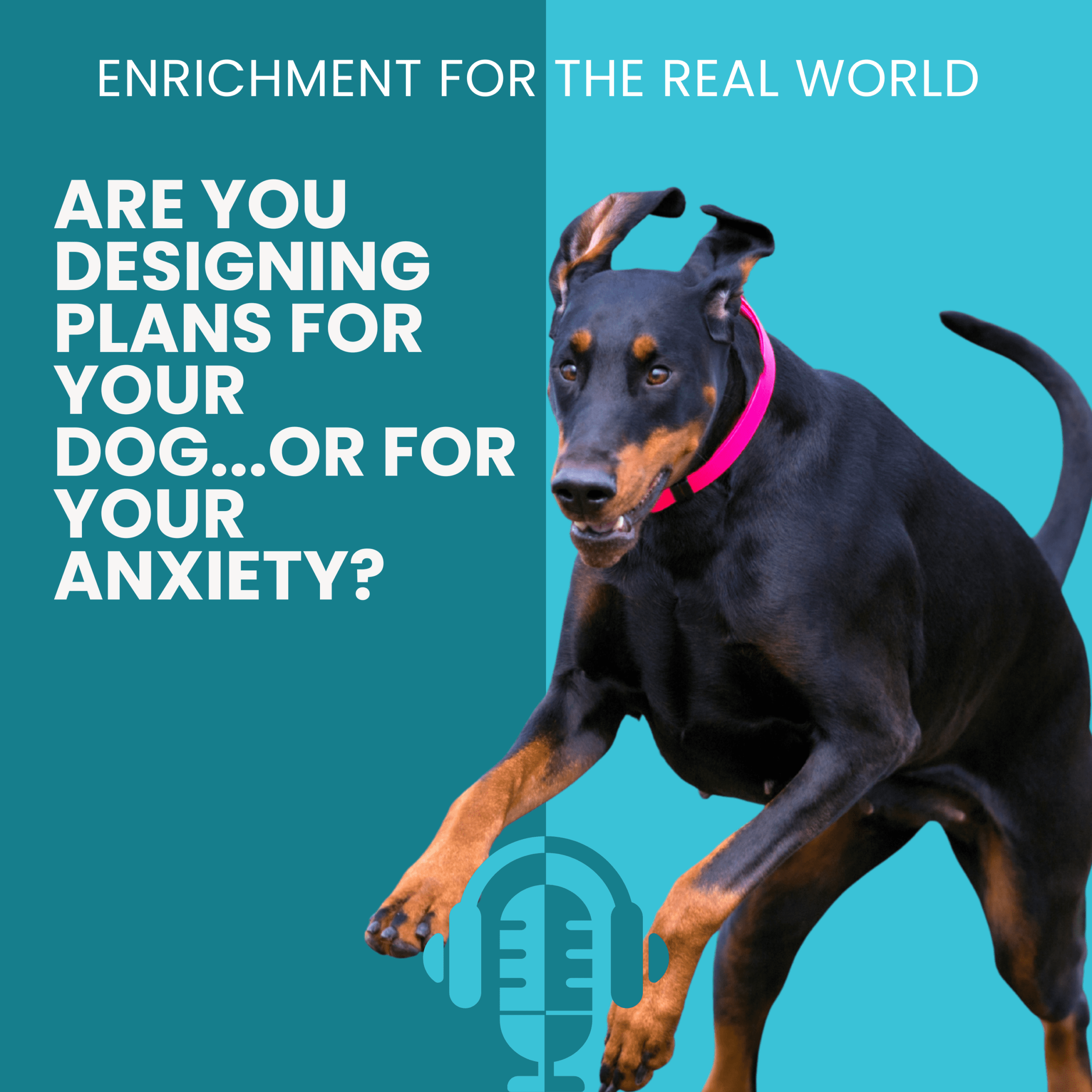 A bounding doberman next to the podcast title: Are You Designing Your Plans for Your Dog...or Your Anxiety?