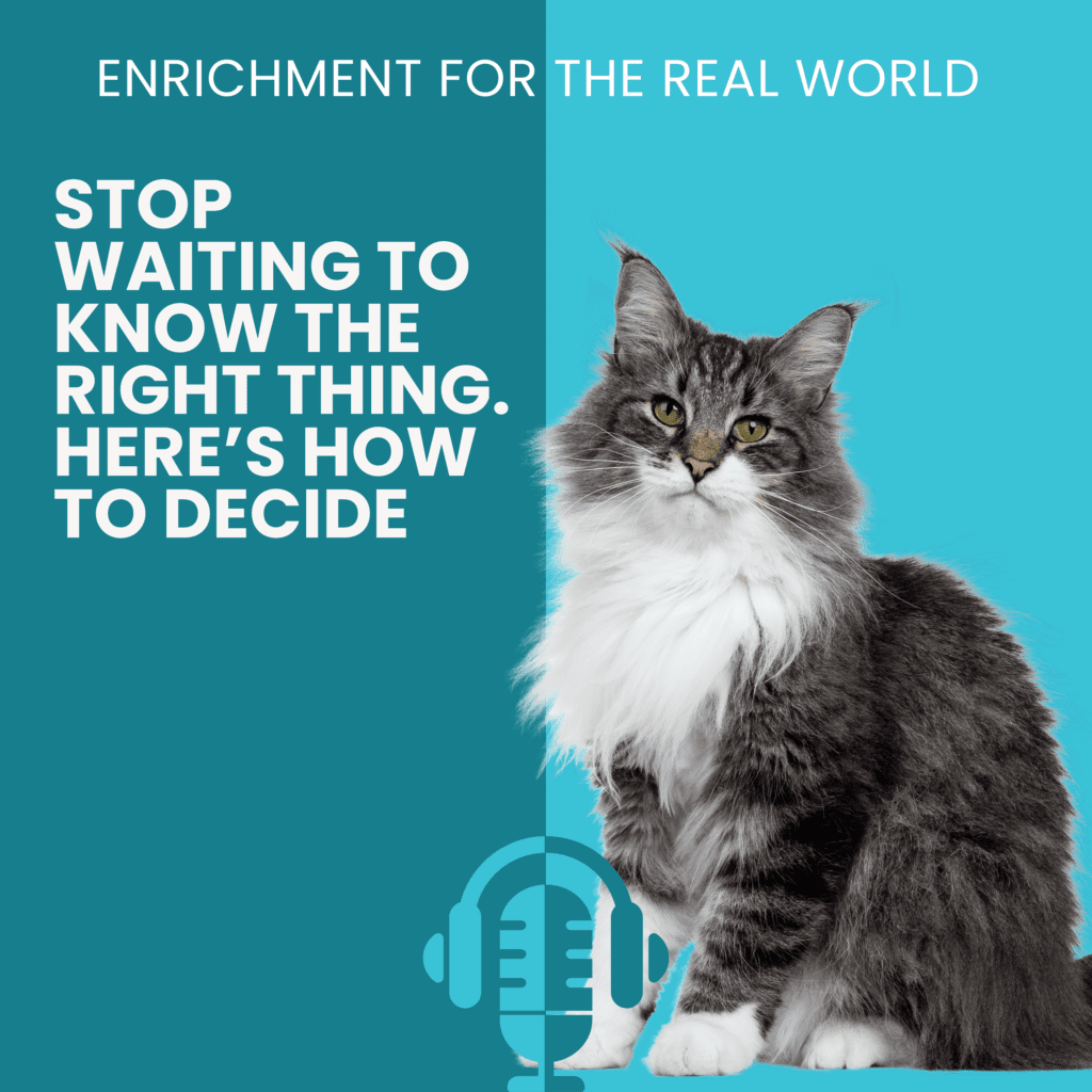 Pet Harmony podcast episode 168 cover image — Stop Waiting to Know the Right Thing: Here's How to Decide with Allie Bender and Emily Strong