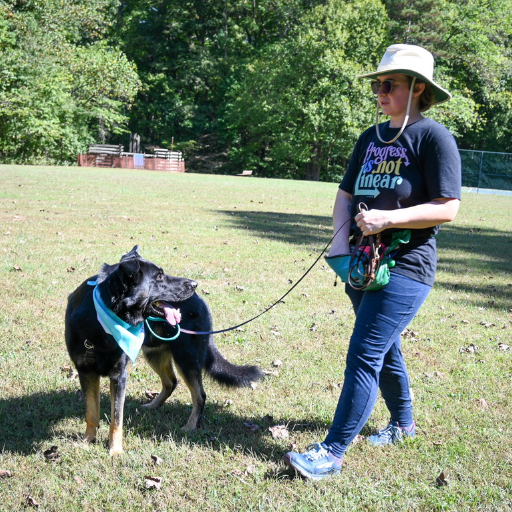 A black dog on a long line looking back at his person who is reaching into her treat pouch. Reactive dog decompression walk.