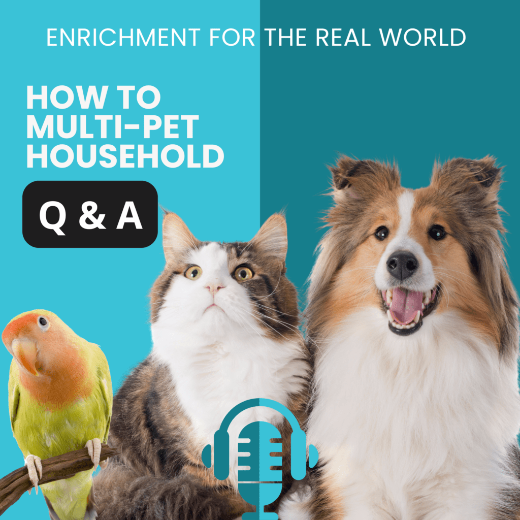 A bird, a cat, and a dog. Text reads: How to -multi pet household Q&A. Multispecies household.