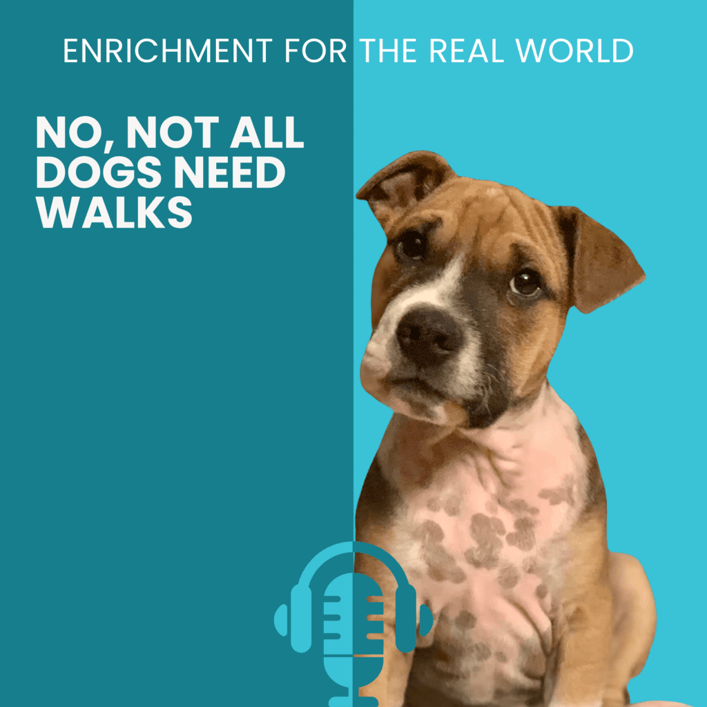 A spotty brown puppy with floppy ears and a slightly tilted head. Text reads: No, not all dogs need walks.