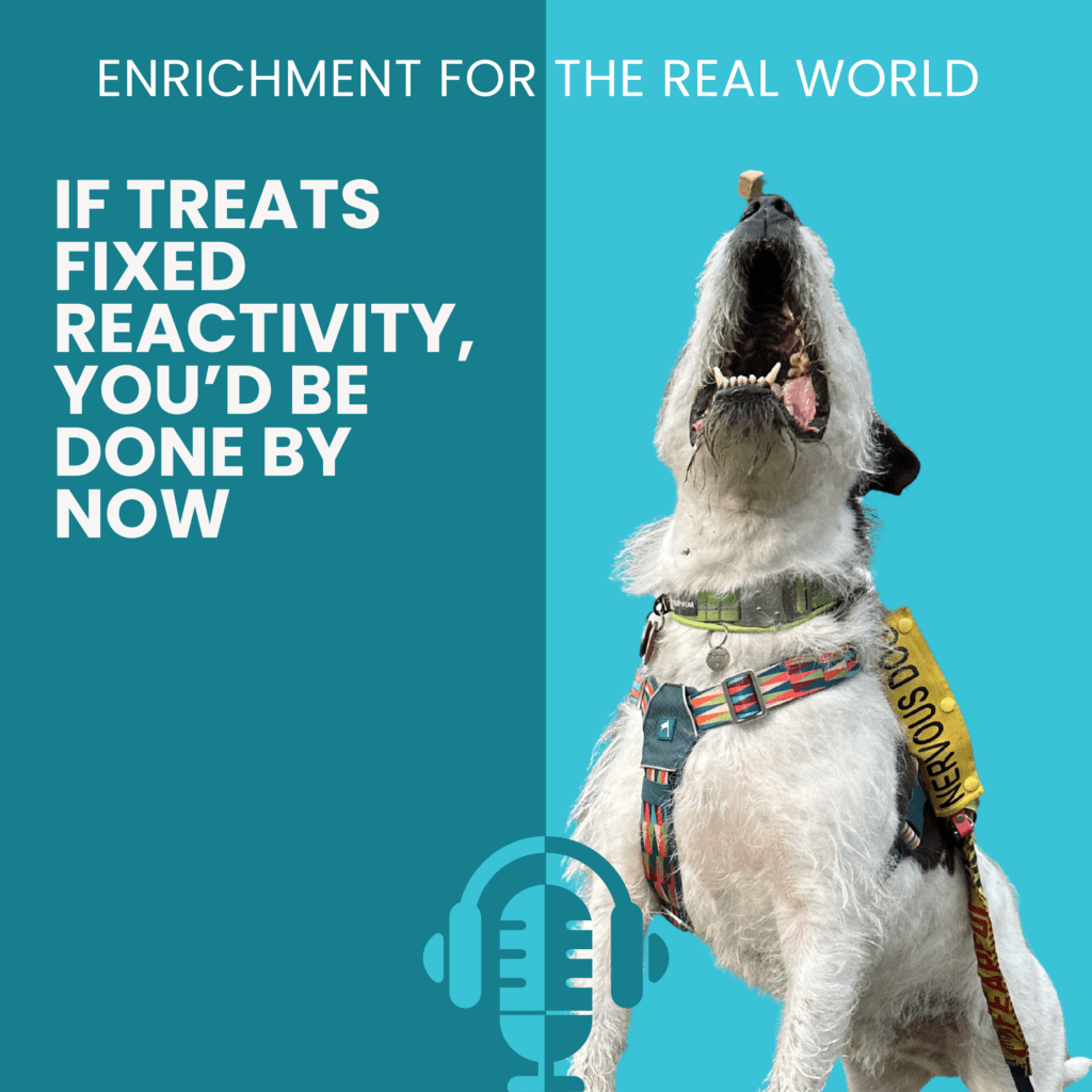 A scruffy white and dark grey dog with his mouth open, grabbing a tossed treat. Text reads: If Treats Fixed Reactivity, You'd Be Done By Now. Enrichment for the Real World Podcast cover art.
