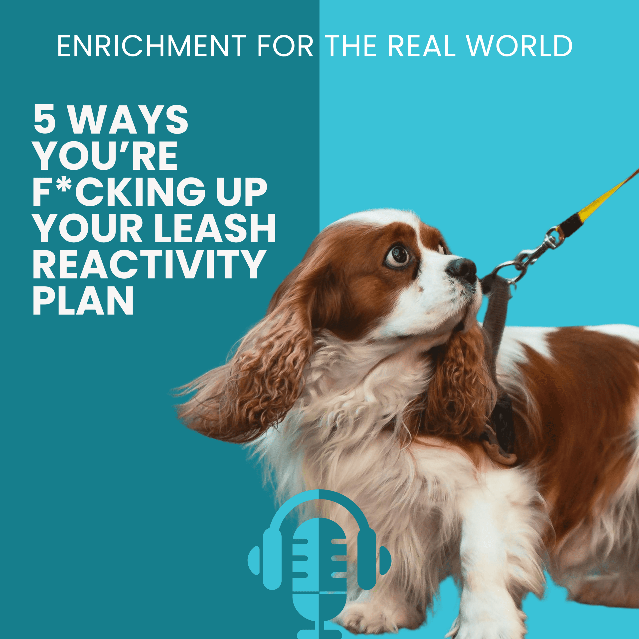A red and white caviler king charles spaniel wearing a harness looking up toward a leash that appears to be pulling on them. Text reads 5 ways you're f*cking up your leash reactivity plan.