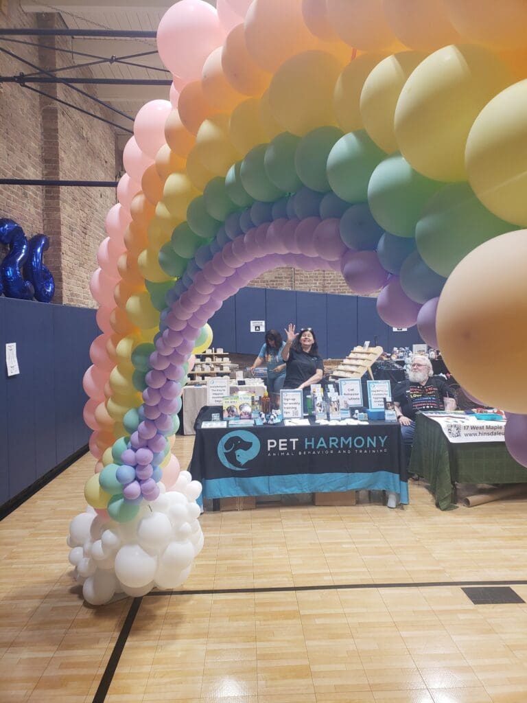 MaryKaye somewhere under a rainbow (at Downer's Grove PrideFest at the Pet Harmony booth)