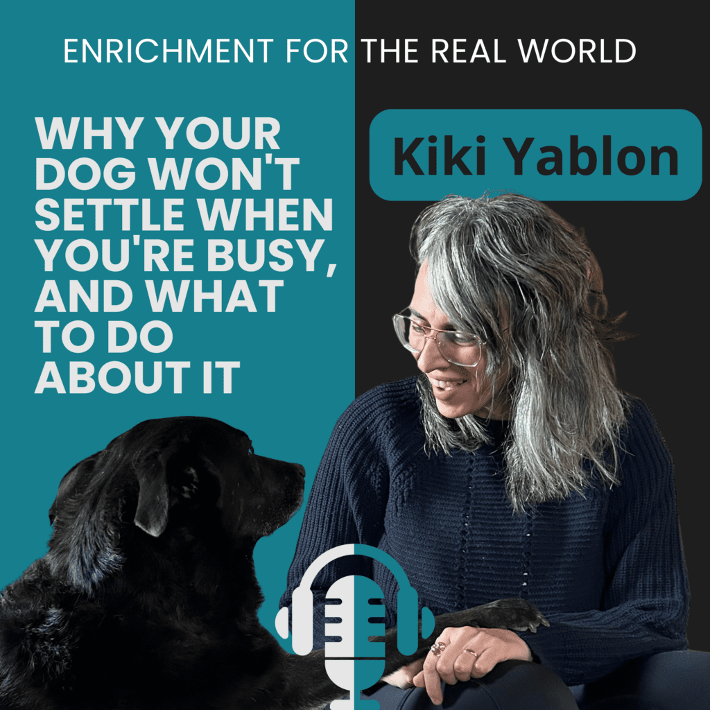 A woman with beautiful salt and pepper hair smiling at a black dog. Kiki Yablon, MA, KPA CTP, CPDT-KA, KPA Faculty