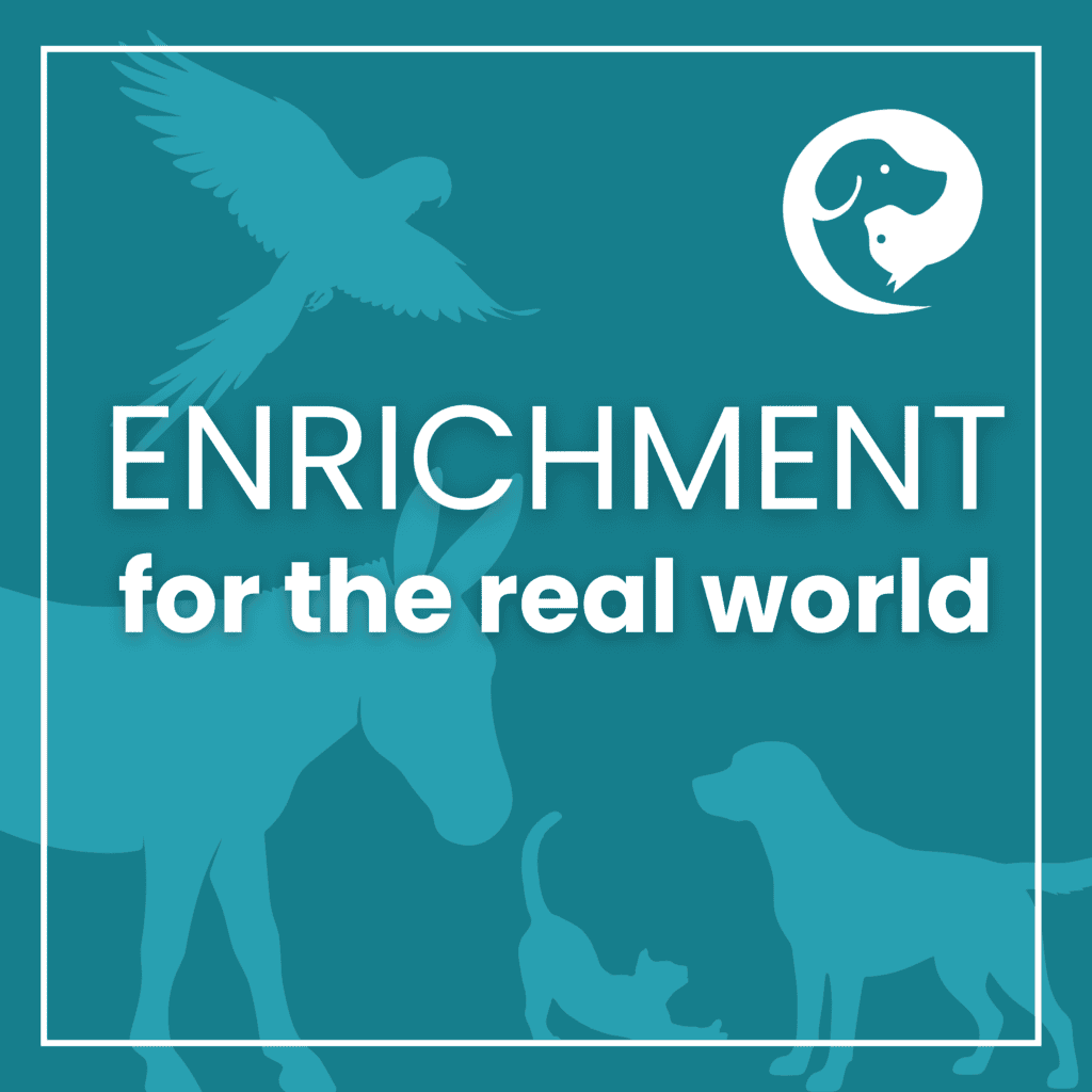 Podcast cover image of animal silhouettes on a field of teal. Text reads: Enrichment for the Real World.