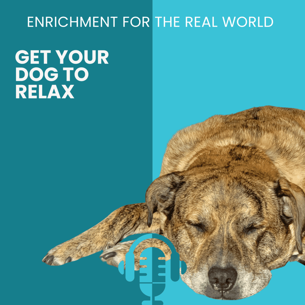 A large brindle dog fast asleep with his face spreading into the floor. Text reads: Get your dog to relax