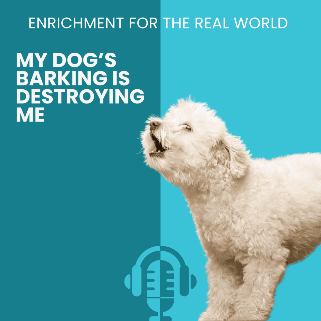 White fluffy dog barking upward on teal background, Enrichment for the Real World podcast cover for My Dog's Barking Is Destroying Me
