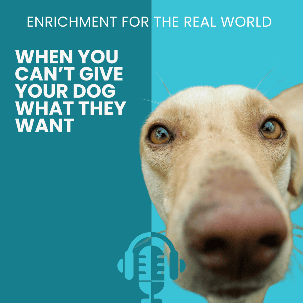 A yellow lab type dog with their nose in the camera, looking directly at it. Text reads: When You Can't Give Your Dog What They Want.