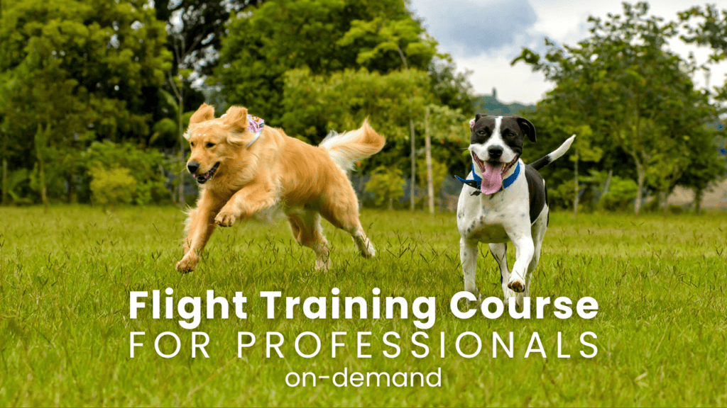 A golden retriever and pitbull type dog running through a field together. Text reads: Flight Training Course for Professionals (on demand)