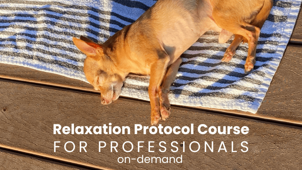 A small dog lying on a towel on a deck. Text reads: Relaxation protocol course for professionals.