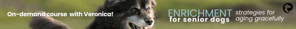 An up close view of a black dog with a grey face bounding in a field. Text reads: On-demand course with Veronica, Enrichment for Senior Dogs: Strategies for aging gracefully.