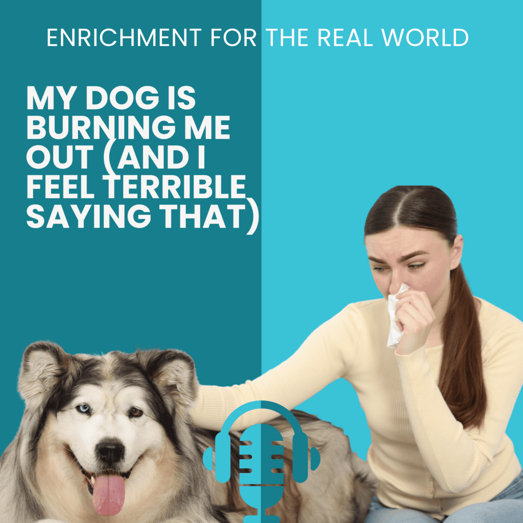 A woman with a kleenex sitting next to a very large, long haired dog. Text reads: My Dog Is Burning Me Out (And I Feel Terrible Saying That)