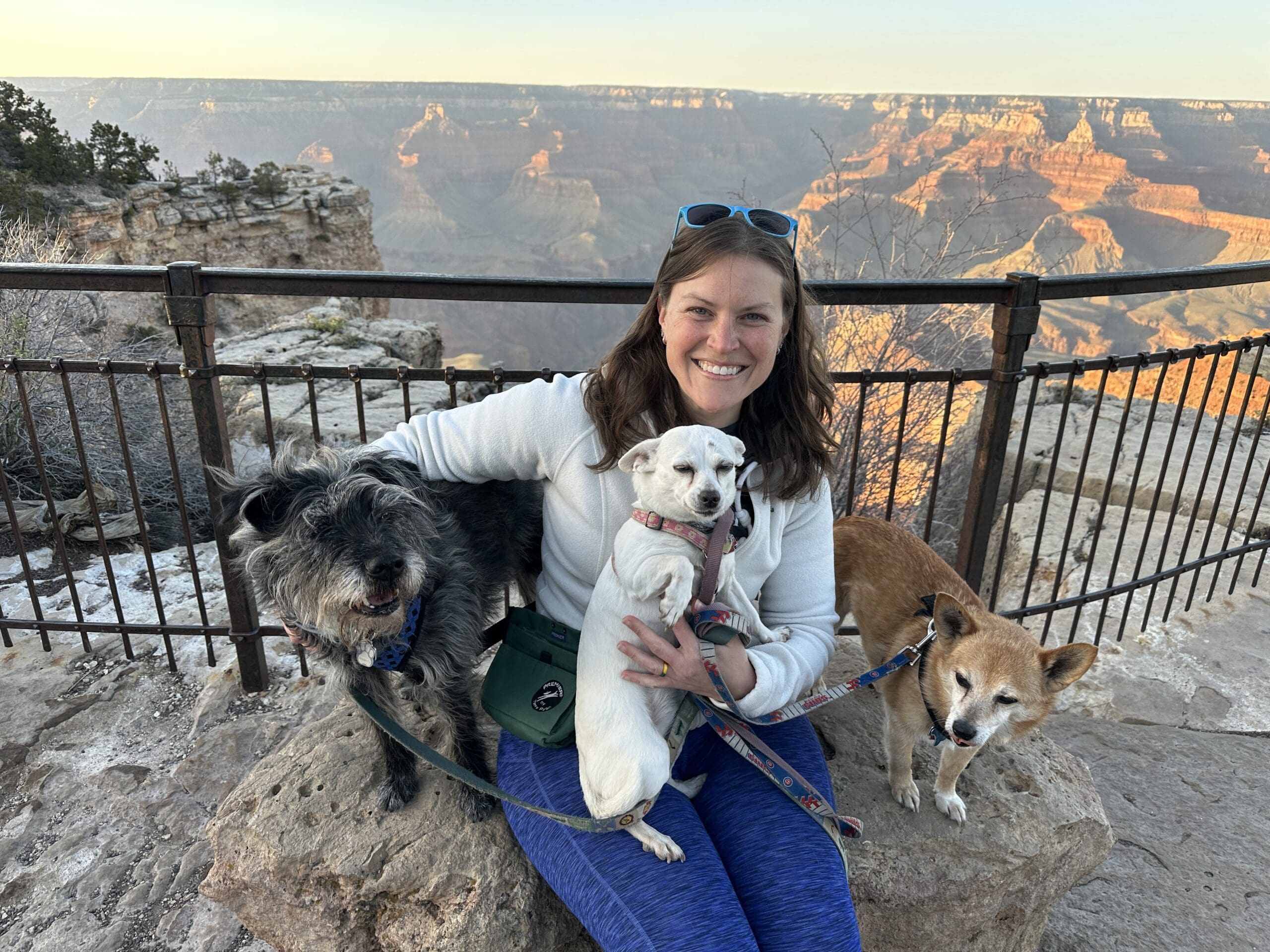 A woman sitting against a fence on a rocky ledge with three small dogs and the Grand Canyon in the background. Valerie Bogie, MSSW