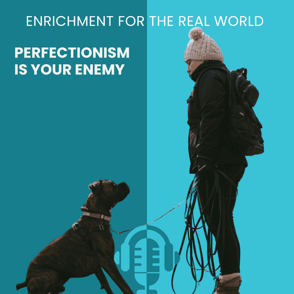 A Person wearing winter gear and holding a long leash looking down toward a brindle boxer-type dog, who is looking up at them. Text reads: Perfectionism is Your Enemy.