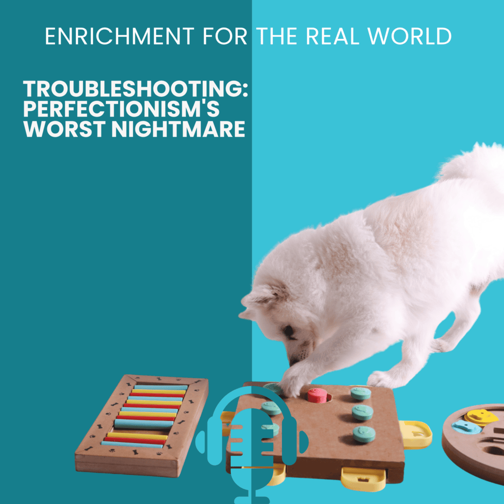 A fluffy white dog figuring out a puzzle. Text reads: Troubleshooting: Perfectionism's Worst Nightmare.