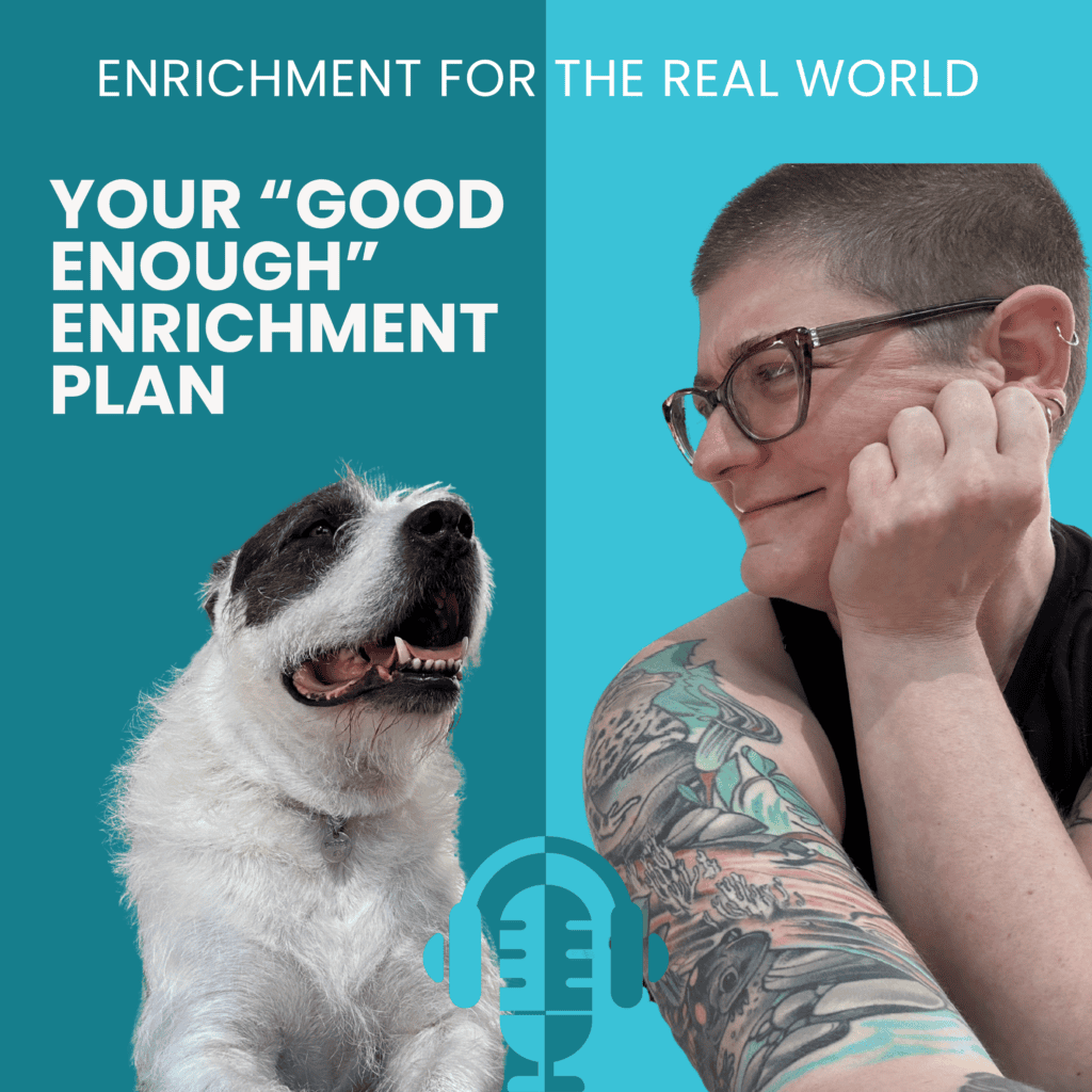 A woman lying next to a scruffy white and dark grey dog. Social time for good enough enrichment. Text reads: Your "Good Enough" Enrichment Plan.