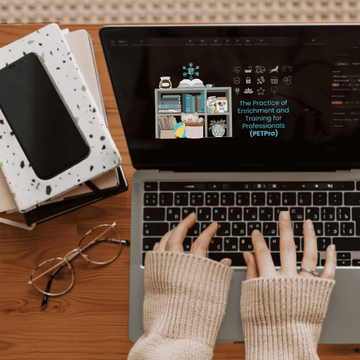 Hands on a laptop keyboard. Screen reads: Practice of Enrichment and Training for Professionals (PETPro)