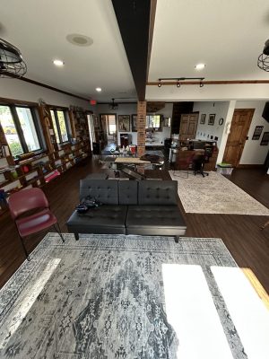 An open waiting and exam area with rugs, a couch, and enrichment items.