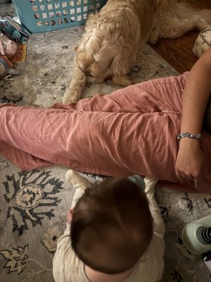 A person's legs used as a barrier between a toddler and a dog.
