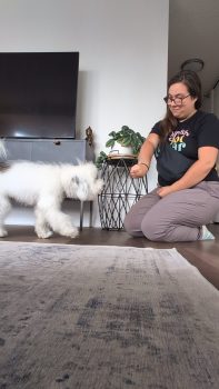 A woman kneeling on the floor next to a small white dog.