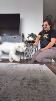 A woman kneeling on the floor next to a small white dog.
