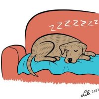 Illustration of a brindle dog sleeping on a couch.