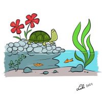 Illustration of a turtle sitting on some rocks next to water.