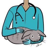 Illustration of a veterinarian holding a grey rabbit.